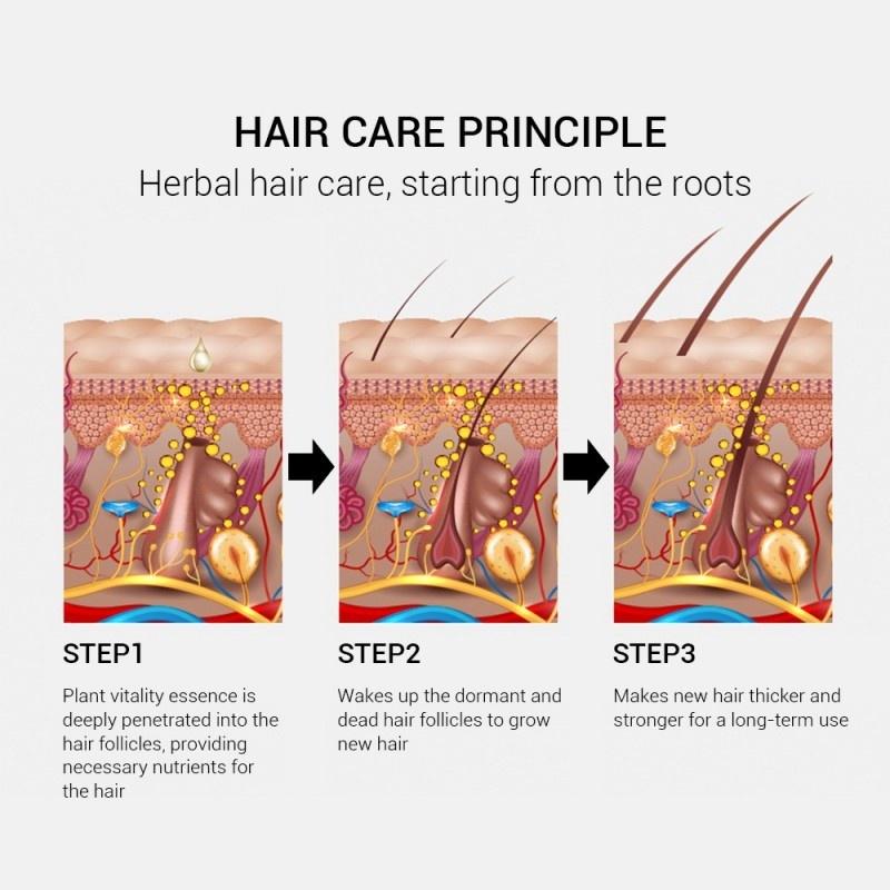 New Ginger Extract Hair Care Hair Care Products