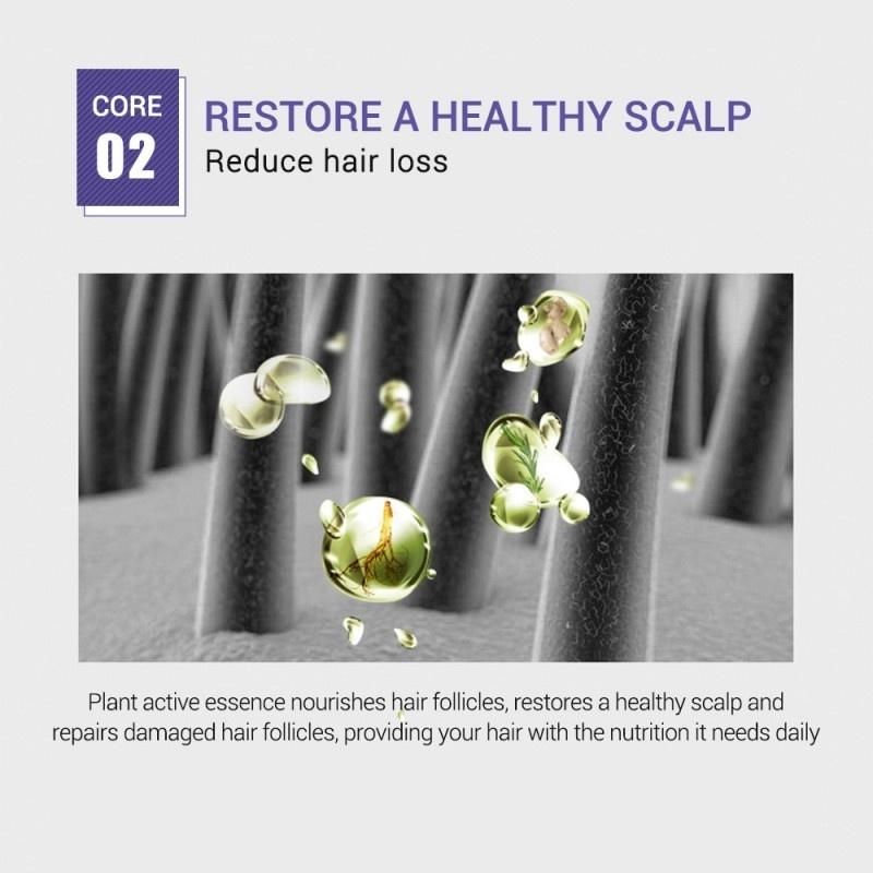 New Ginger Extract Hair Care New Ginger Extract Hair Care - Image 8